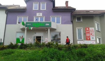 Biuro Zielona Góra, ul. Niecała