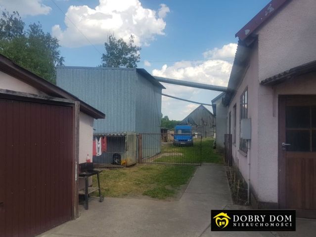 dom wolnostojący, 3 pokoje Narew. Zdjęcie 5