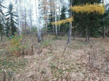 Działka budowlana Grobice. Zdjęcie 1