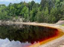 Działka budowlana Chełmica. Zdjęcie 4