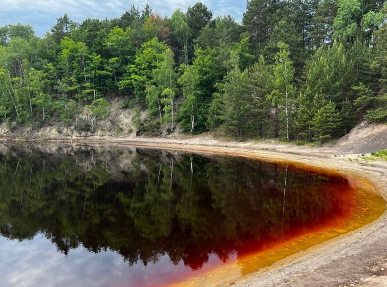 Działka budowlana Chełmica. Zdjęcie 5