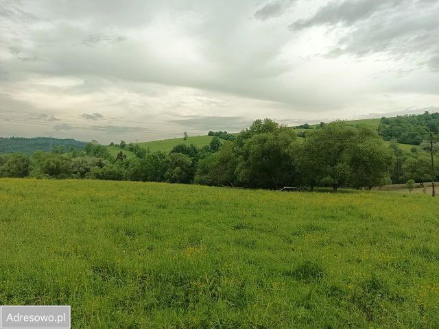 Działka rolna Zawadka Rymanowska. Zdjęcie 1