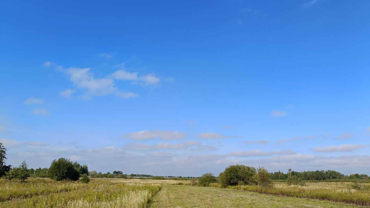 Działka inwestycyjna Rzezawa. Zdjęcie 4