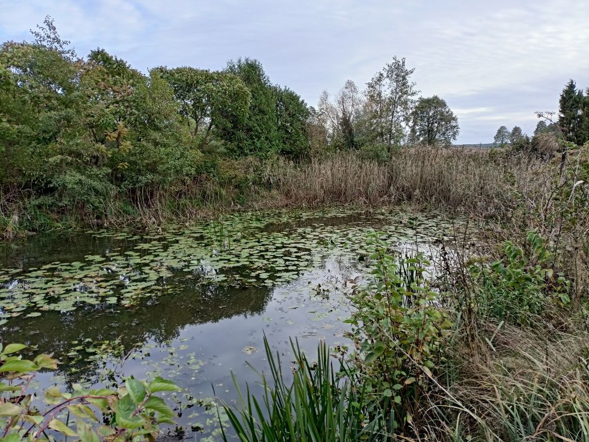 Działka budowlana Izbiszcze. Zdjęcie 5
