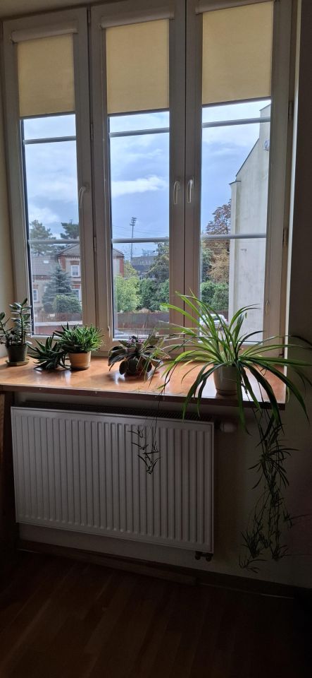 Mieszkanie 2-pokojowe Pruszków Żbików, ul. Majowa. Zdjęcie 7