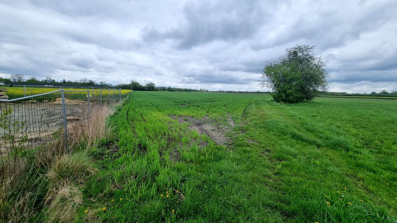 Działka rolna Żuków. Zdjęcie 16