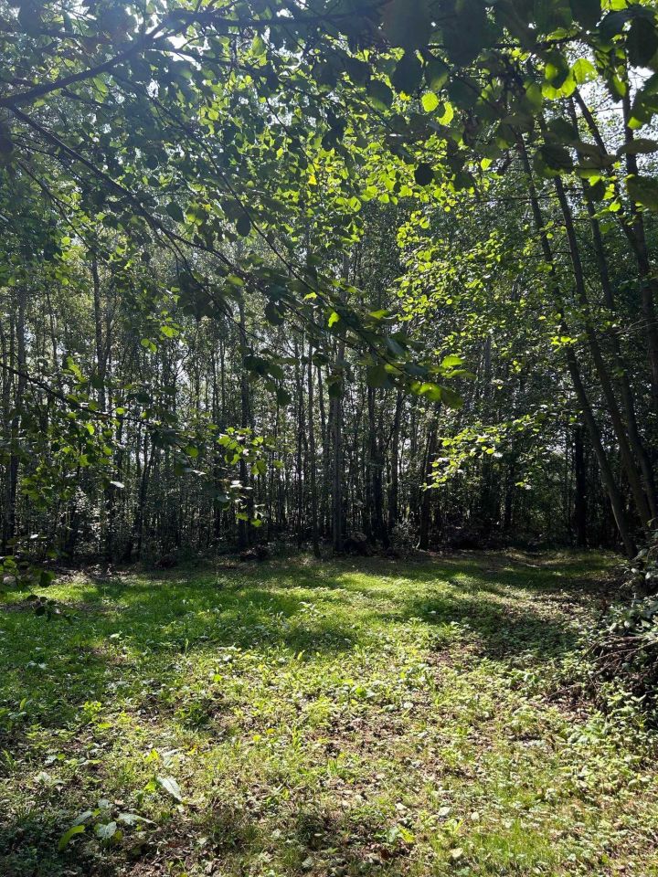 Działka rekreacyjna Piekut. Zdjęcie 6