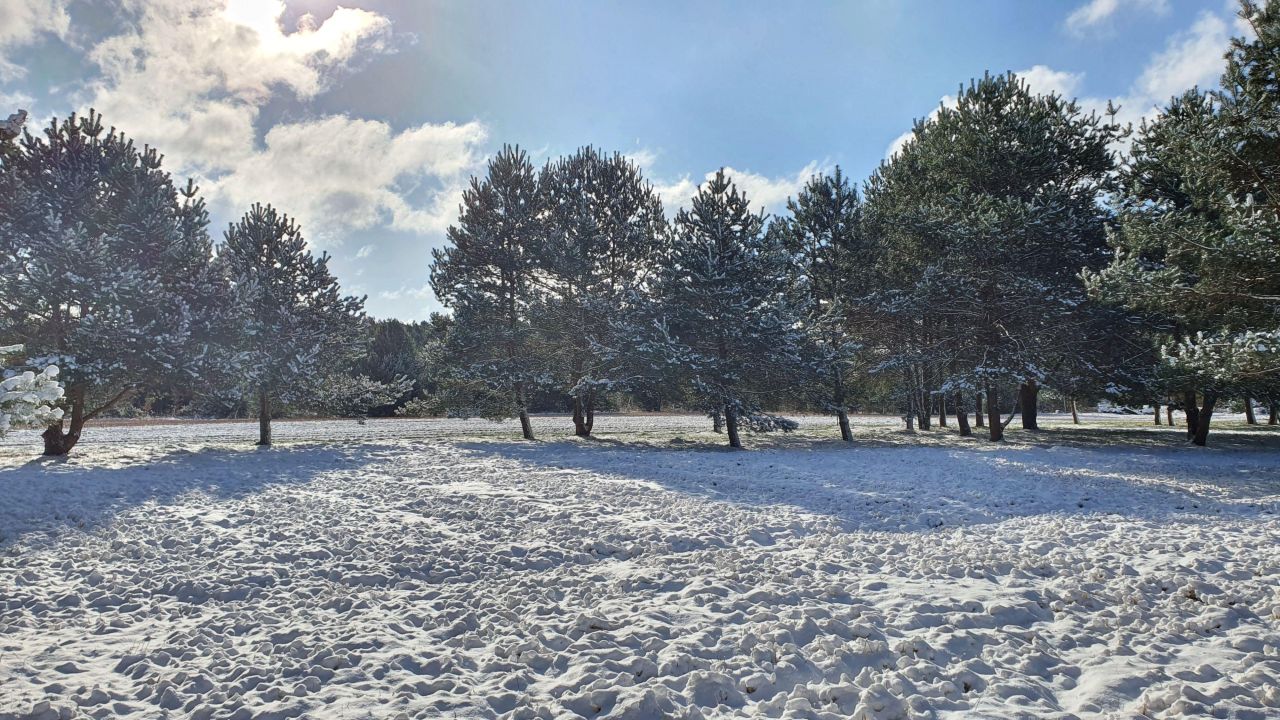 Działka budowlana Skarbka Bidzińszczyzna. Zdjęcie 8