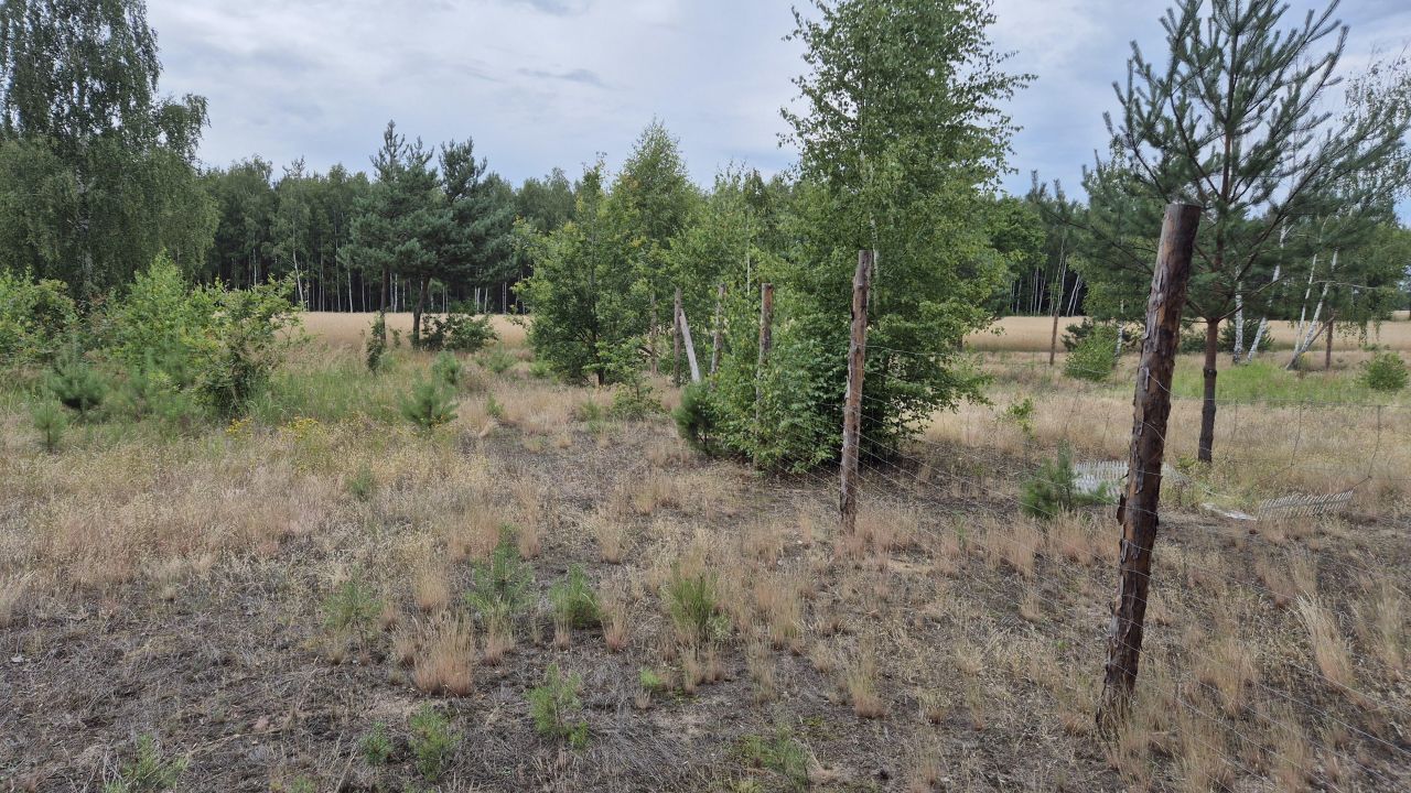 Działka rolno-budowlana Zabłocie. Zdjęcie 6