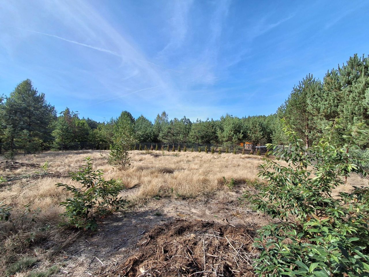 Działka rekreacyjna Zuzinów. Zdjęcie 7