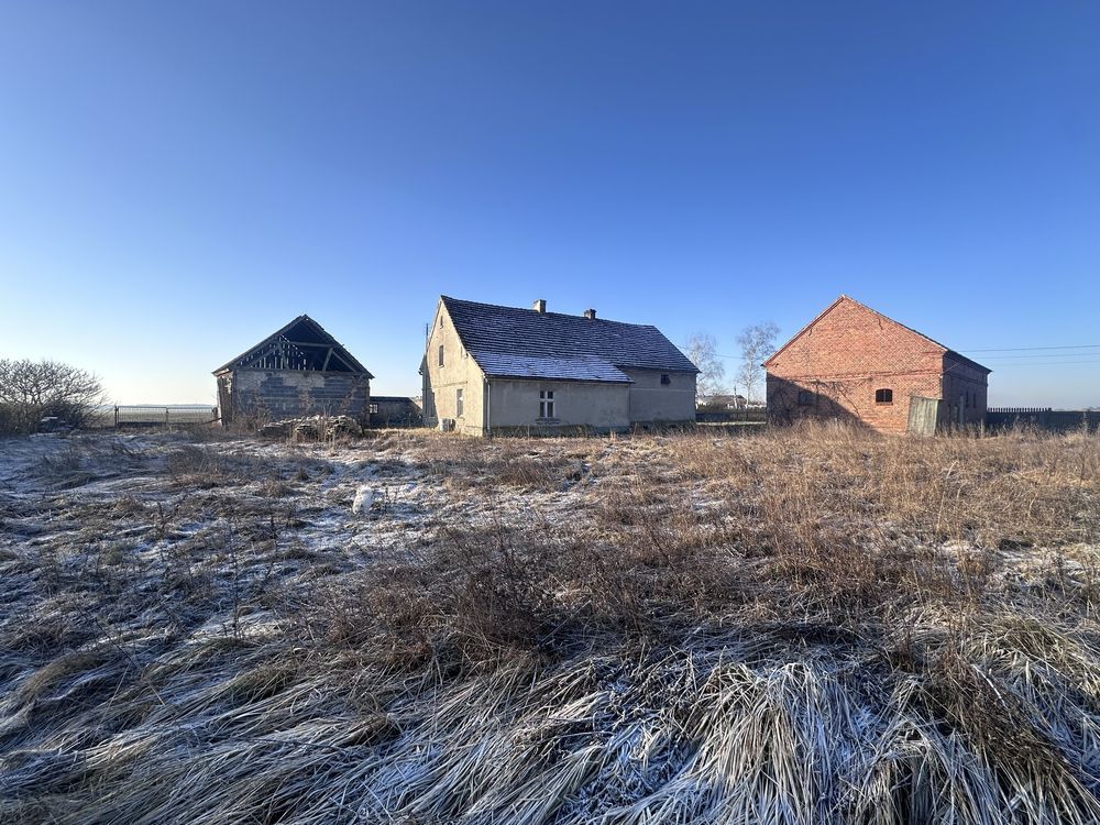 gospodarstwo Zamysłów. Zdjęcie 6