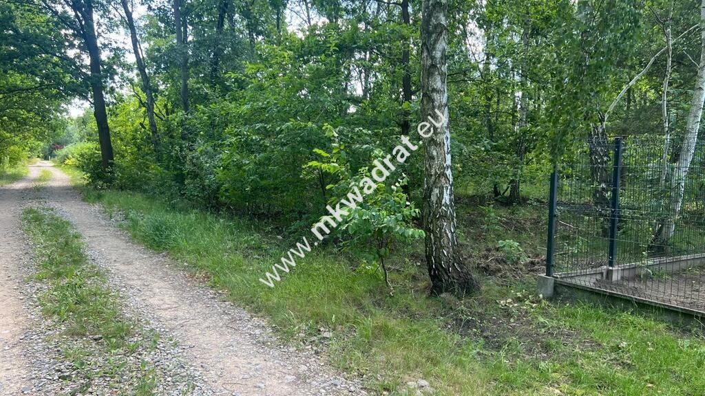 Działka budowlana Radonie. Zdjęcie 22