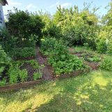 Działka rod Gliwice Sikornik, ul. Rybnicka. Zdjęcie 3