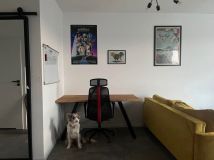 Mieszkanie 1-pokojowe Warszawa Ursus, ul. Edwarda Habicha. Zdjęcie 2