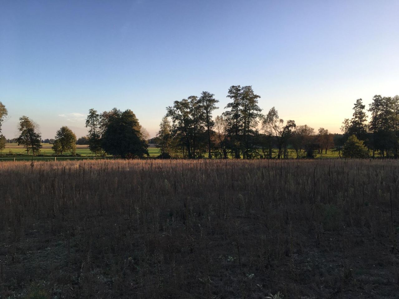 Działka siedliskowa Młyniska. Zdjęcie 19
