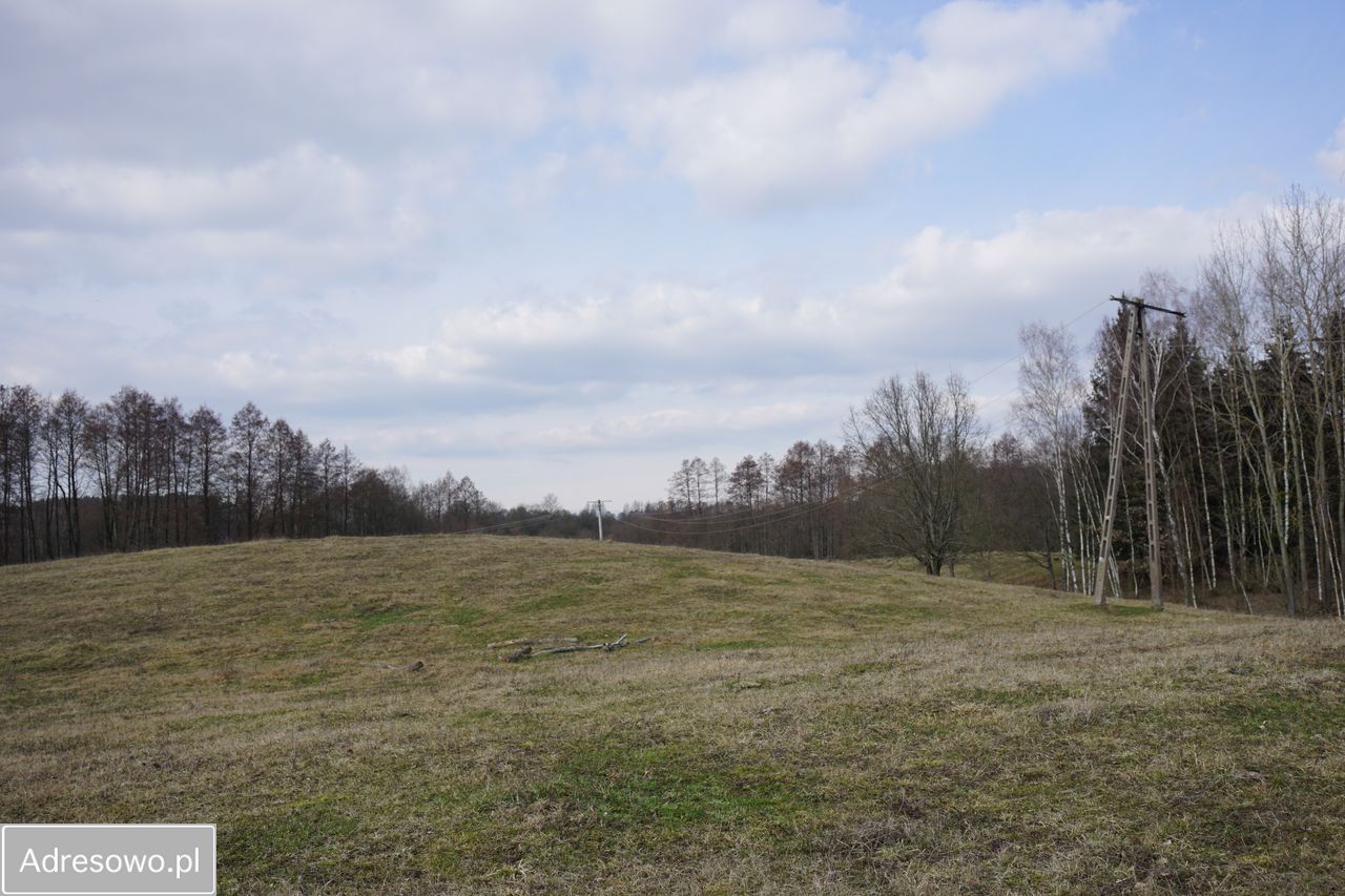 Działka rekreacyjna Dźwierzuty. Zdjęcie 6