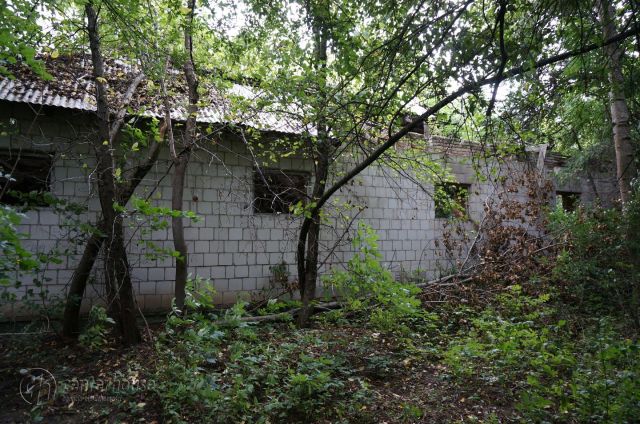 dworek Dąbrowica. Zdjęcie 30