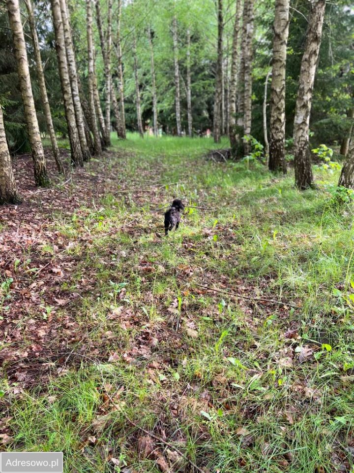 Działka budowlana Kolonia Rybacka, ul. Nadbrzeżna. Zdjęcie 4