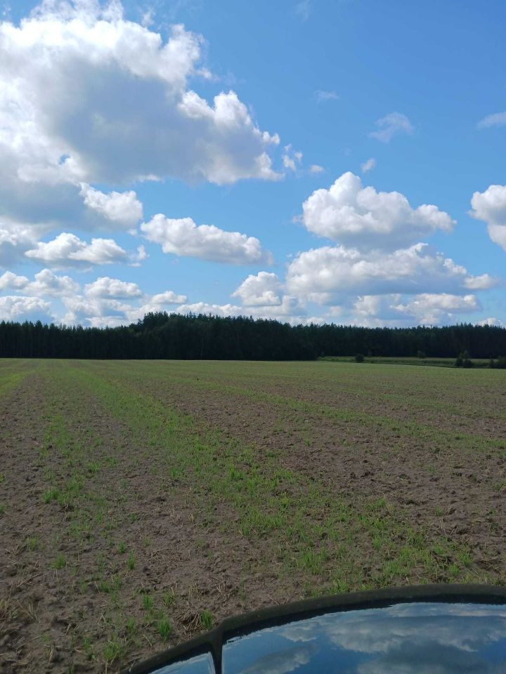 Działka budowlana Kiełpiny. Zdjęcie 4