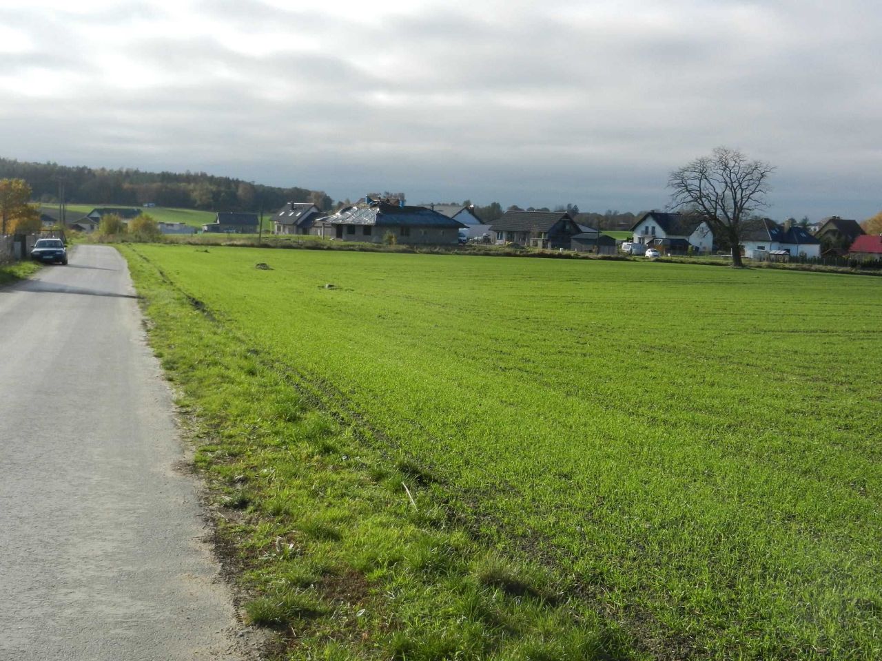 Działka inwestycyjna Stare Bielice. Zdjęcie 4