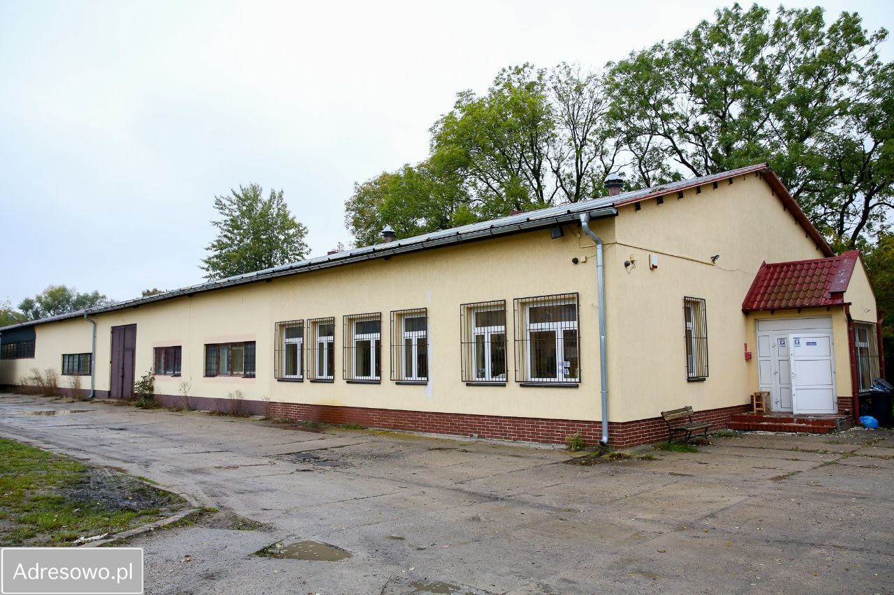 Hala/magazyn Pilnik. Zdjęcie 4