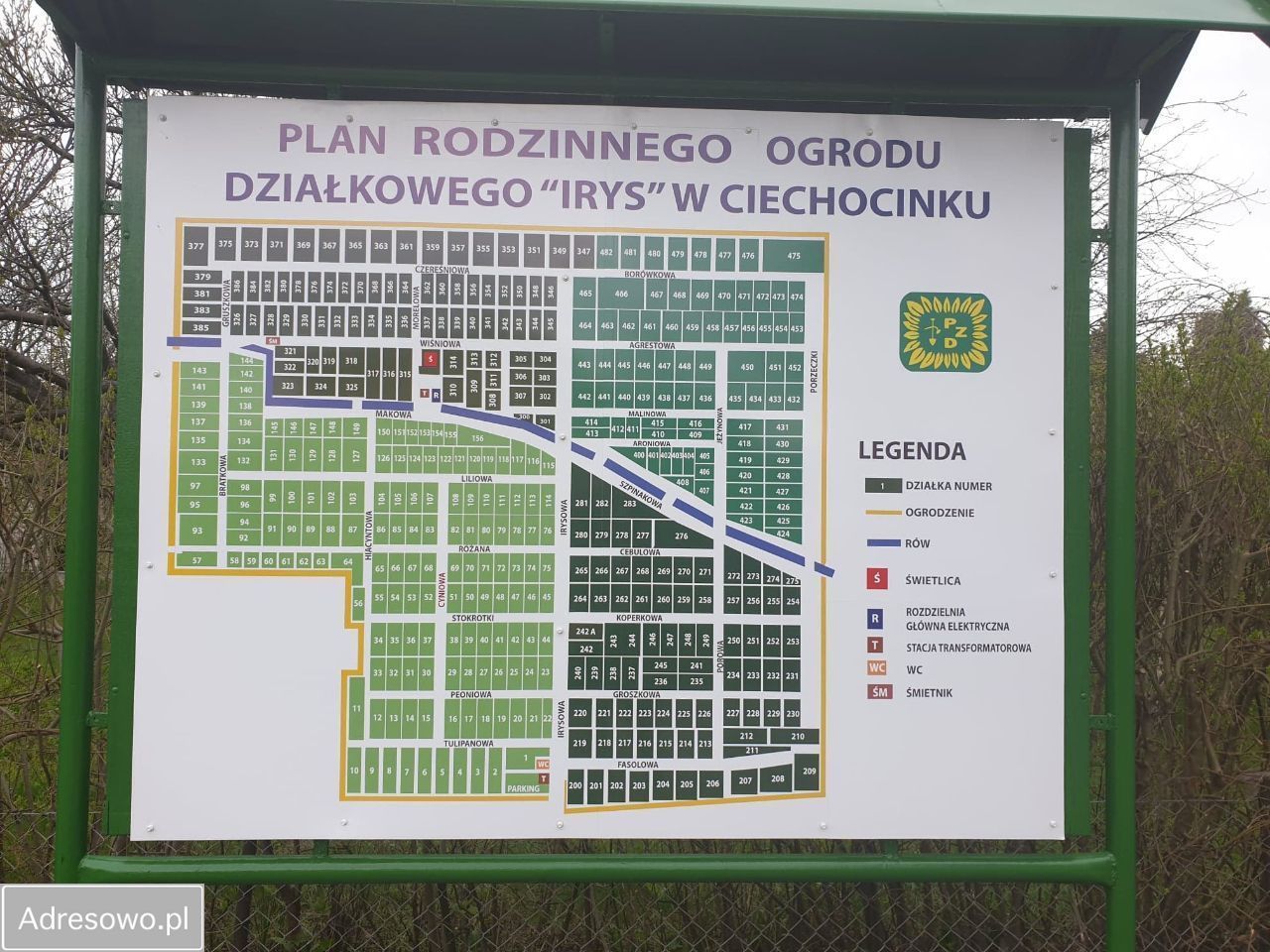 Działka rod Ciechocinek, ul. Cypriana Kamila Norwida. Zdjęcie 11