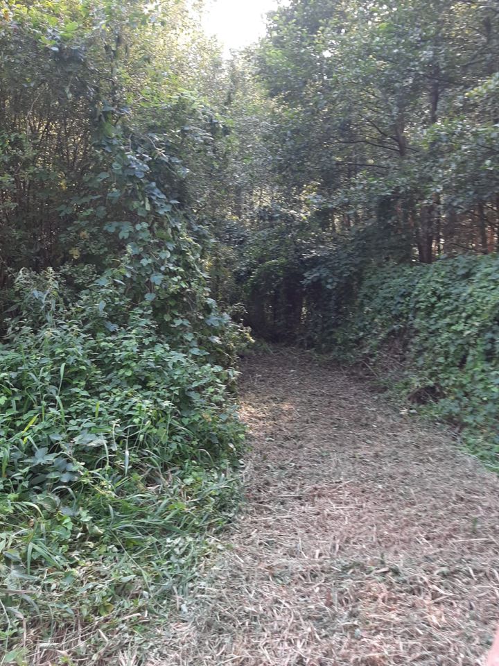 Działka rolna Michałów. Zdjęcie 6