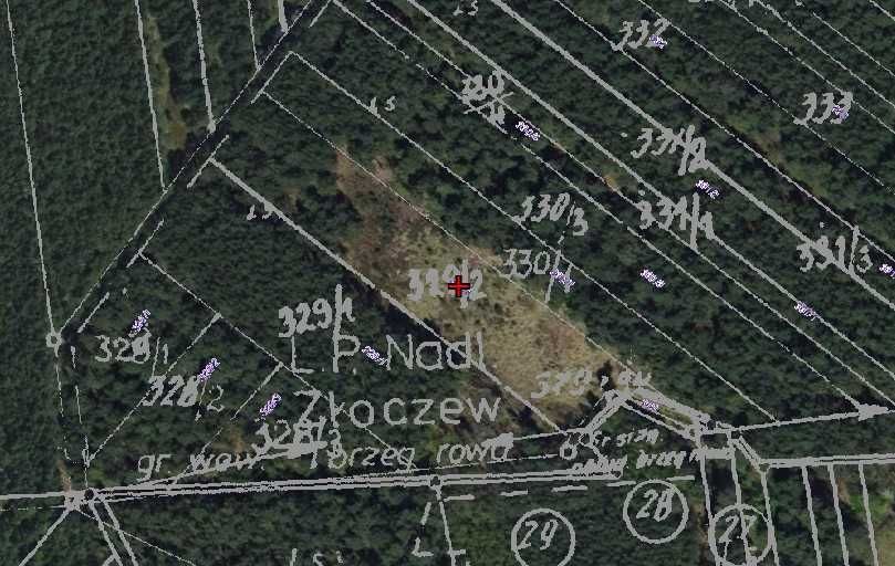 Działka leśna Niechmirów. Zdjęcie 2