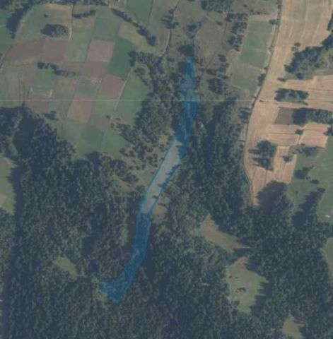 Działka rolna Sieniawa. Zdjęcie 1