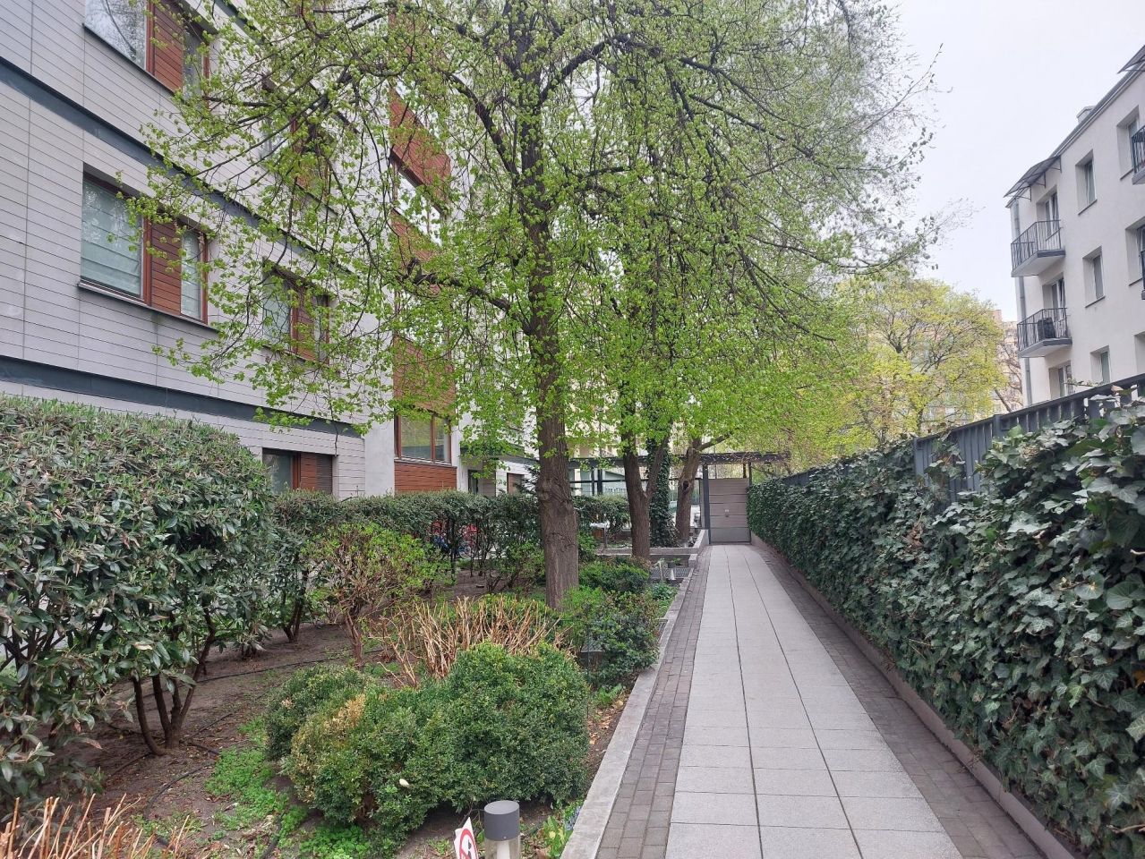 Mieszkanie 2-pokojowe Warszawa Górny Mokotów, ul. Antoniego Józefa Madalińskiego. Zdjęcie 3