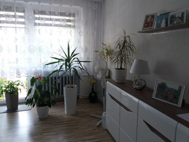 Mieszkanie 2-pokojowe Gliwice, ul. Brzozowa. Zdjęcie 1