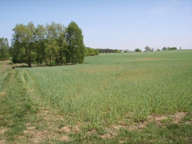 Działka rolno-budowlana Jania Góra. Zdjęcie 10