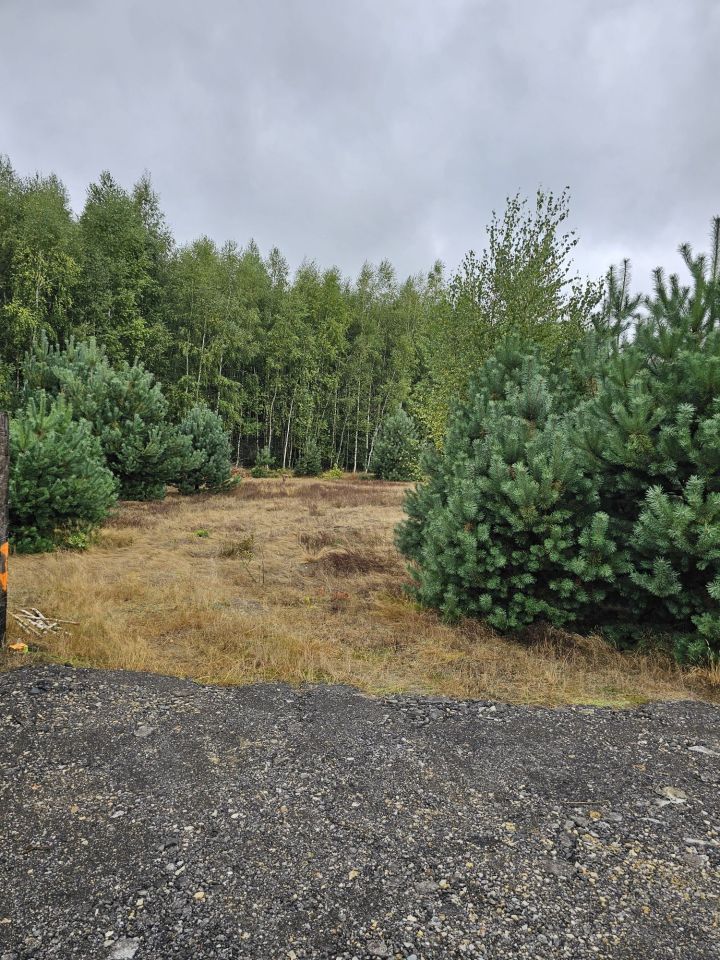 Działka budowlana Cmolas Dąbrówka. Zdjęcie 3