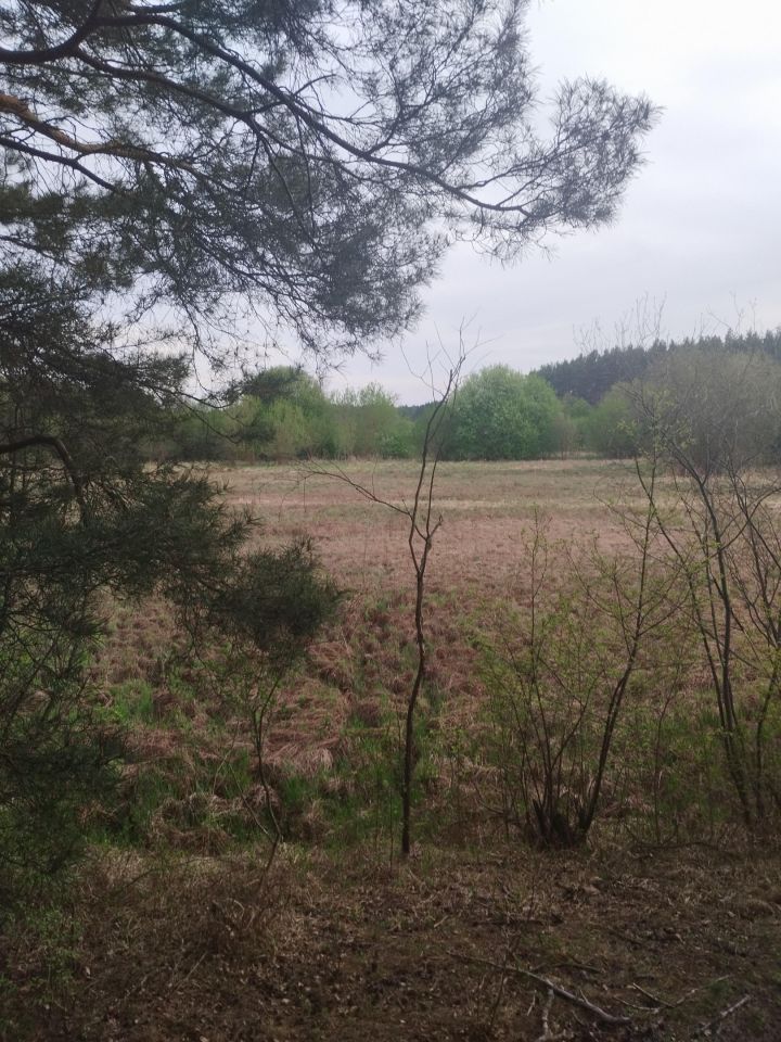 Działka inna Biała. Zdjęcie 2