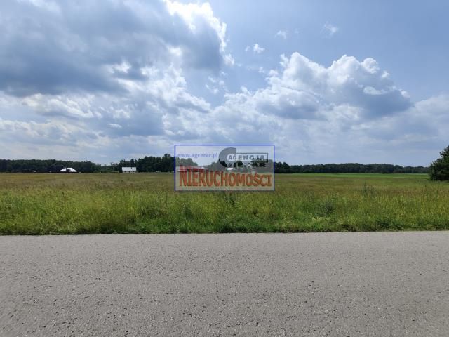 Działka rolna Brzozówka. Zdjęcie 2