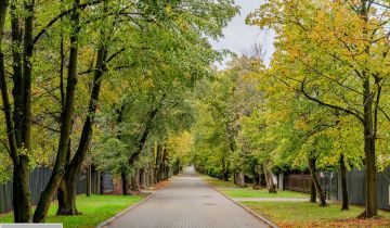 dom wolnostojący, 5 pokoi Magdalenka