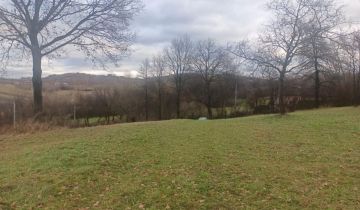 Działka rolno-budowlana Buczyna