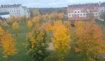 Mieszkanie 3-pokojowe Bełchatów Binków, ul. Witolda Budryka