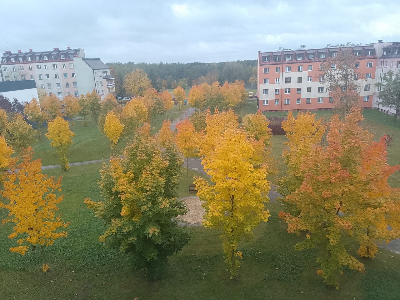 Mieszkanie 3-pokojowe Bełchatów Binków, ul. Witolda Budryka. Zdjęcie 9