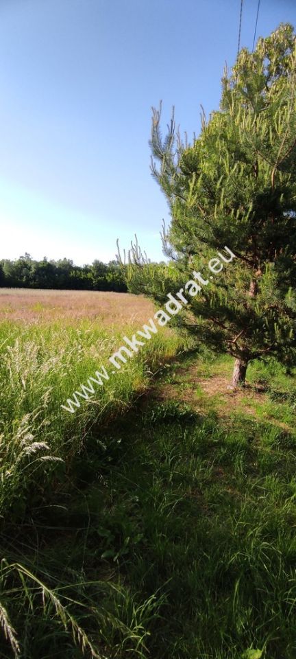 Działka budowlana Chrzczany. Zdjęcie 5