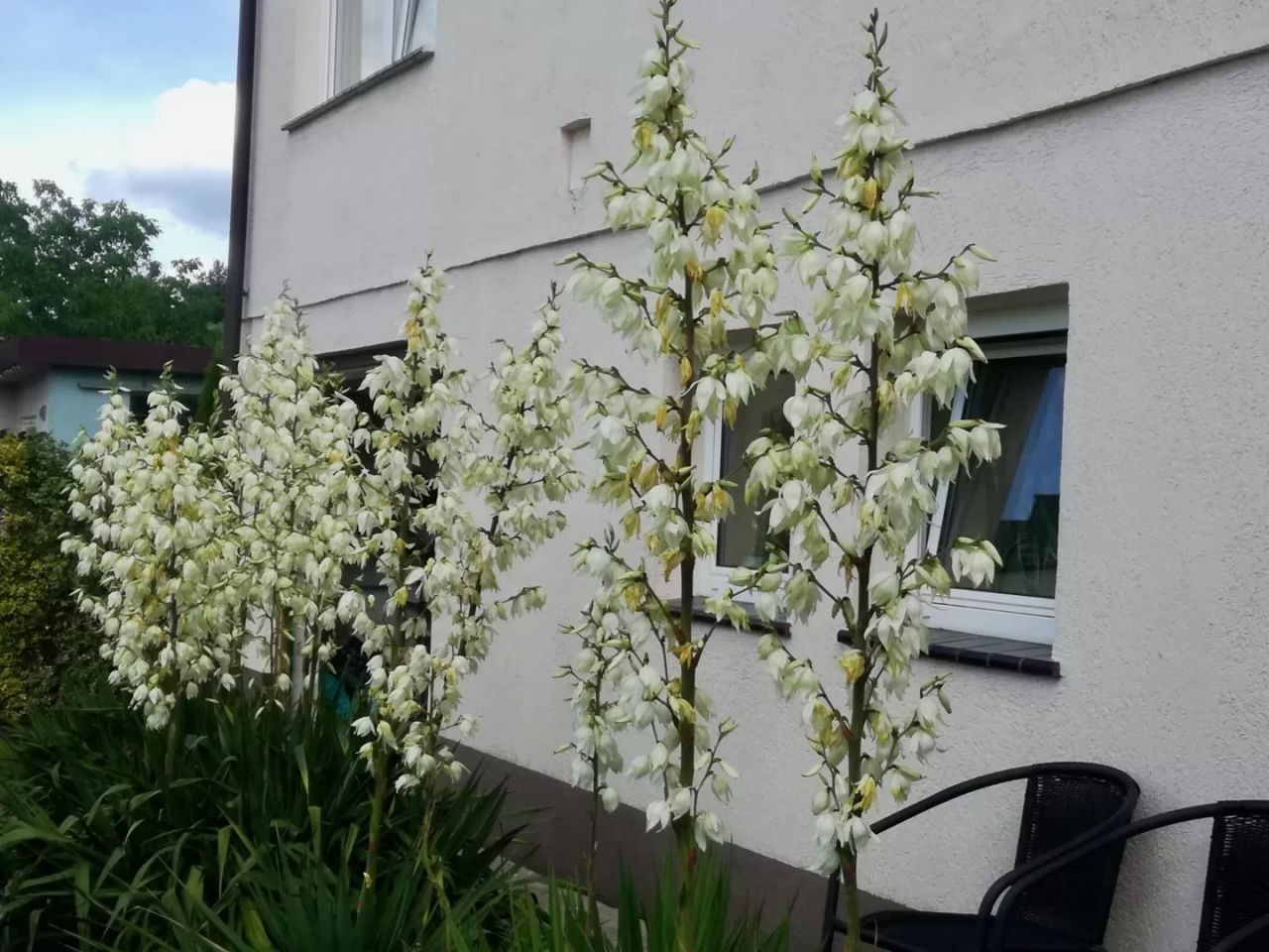 dom wolnostojący, 3 pokoje Domiechowice