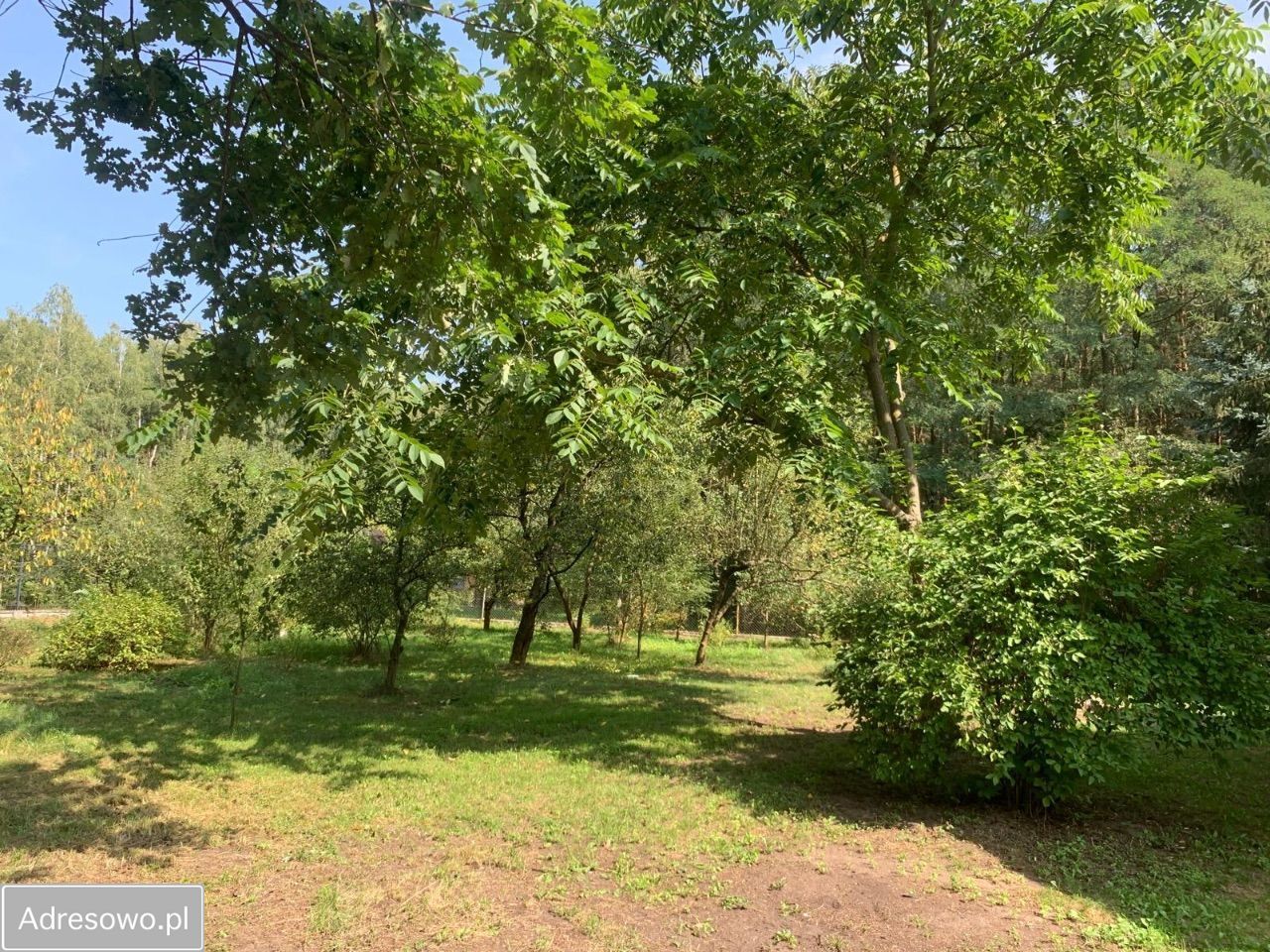 Działka rolno-budowlana Nowe Zawady. Zdjęcie 12