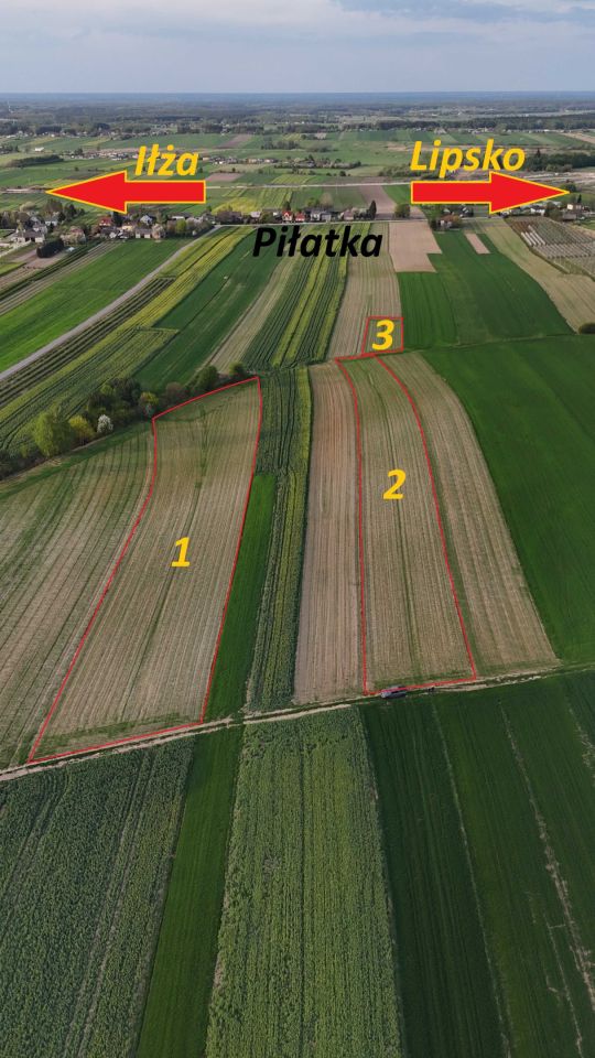 Działka rolna Piłatka. Zdjęcie 4
