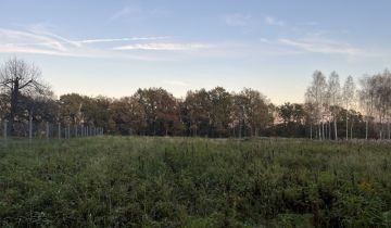 Działka budowlana Potok Za Lasem, Graniczna