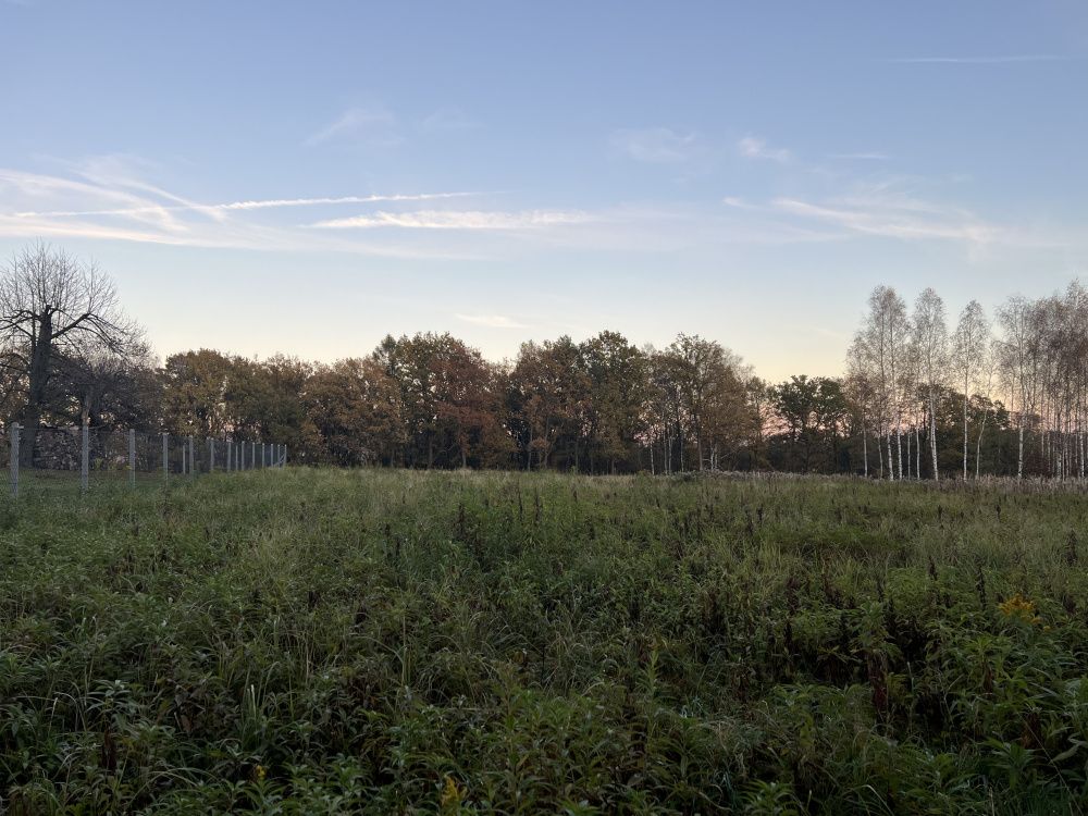 Działka budowlana Potok Za Lasem. Zdjęcie 2