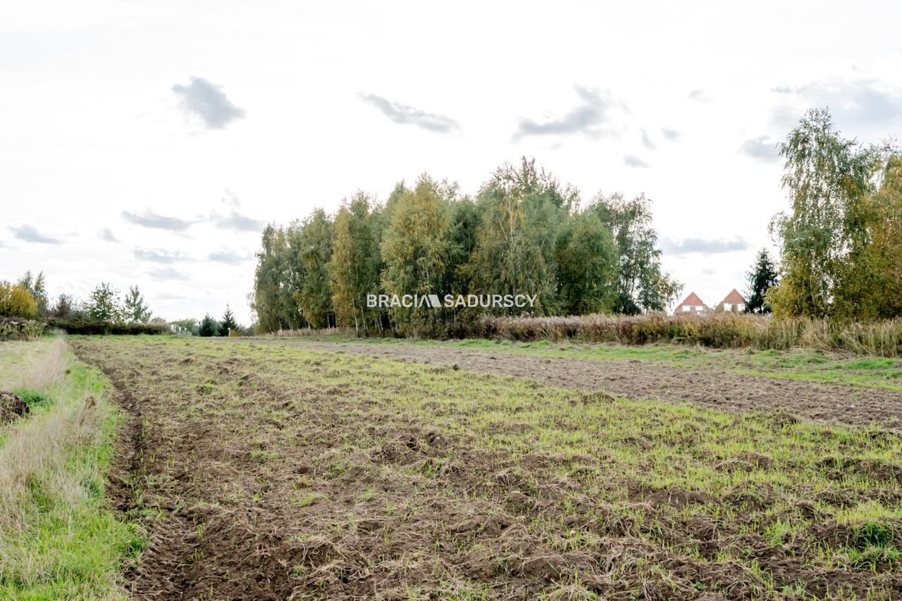Działka budowlana Cholerzyn. Zdjęcie 5