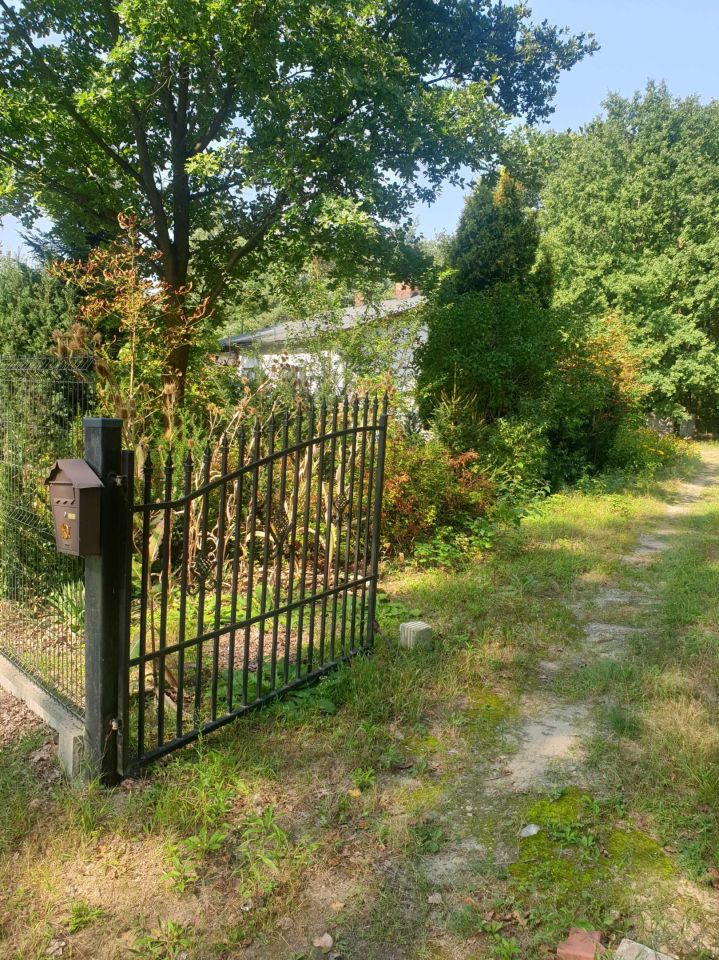 Działka Strzeniówka. Zdjęcie 3