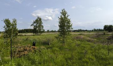 Działka budowlana Wólka Czarnińska