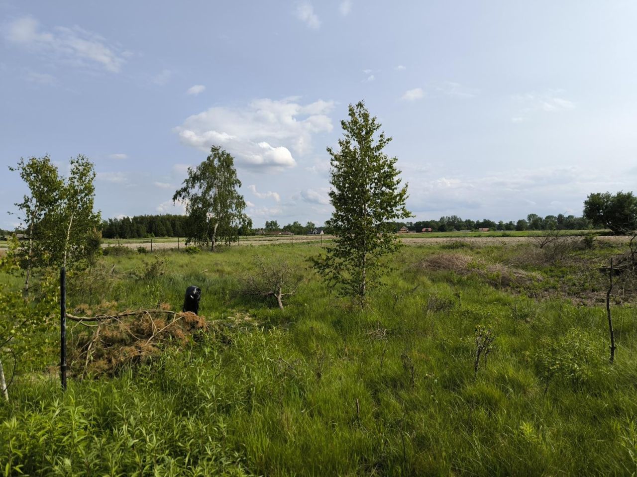 Działka budowlana Wólka Czarnińska. Zdjęcie 2