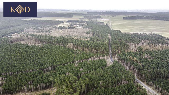 Działka inwestycyjna Dąbrowa Nowa. Zdjęcie 16